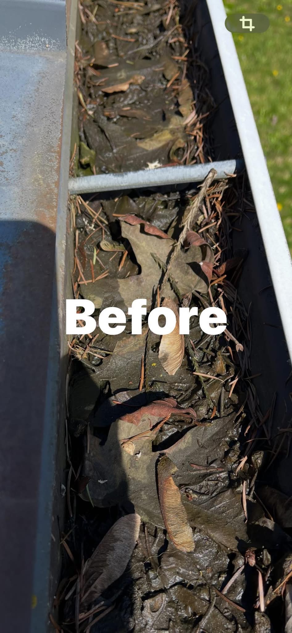 Exterior House & Driveway Cleaning