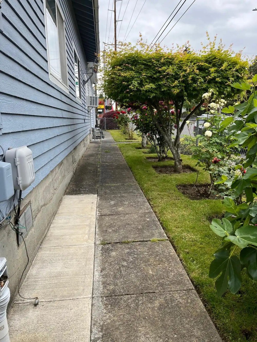 Exterior House & Driveway Cleaning