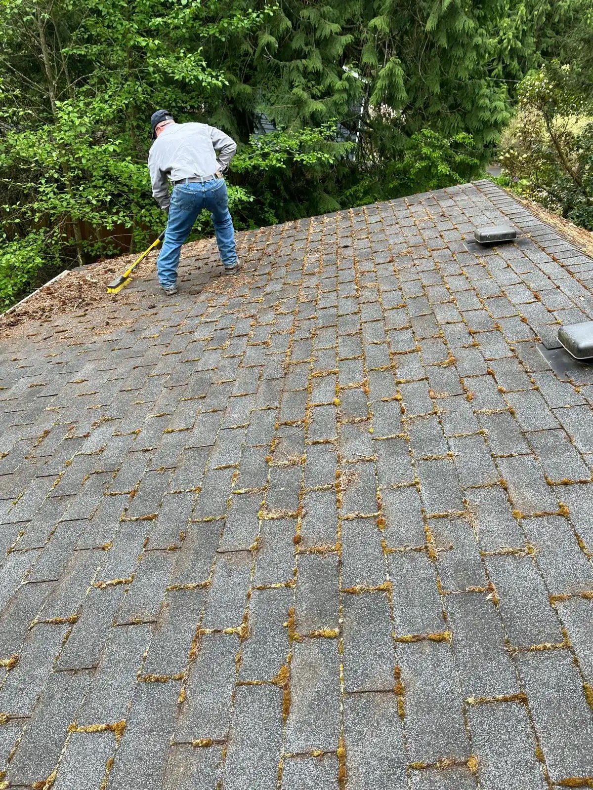 Roof cleaning