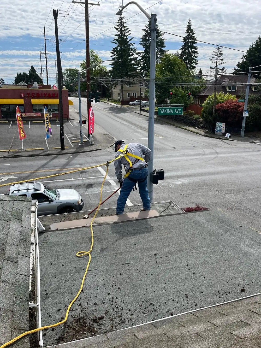 Roof Moss Removal & Treatment